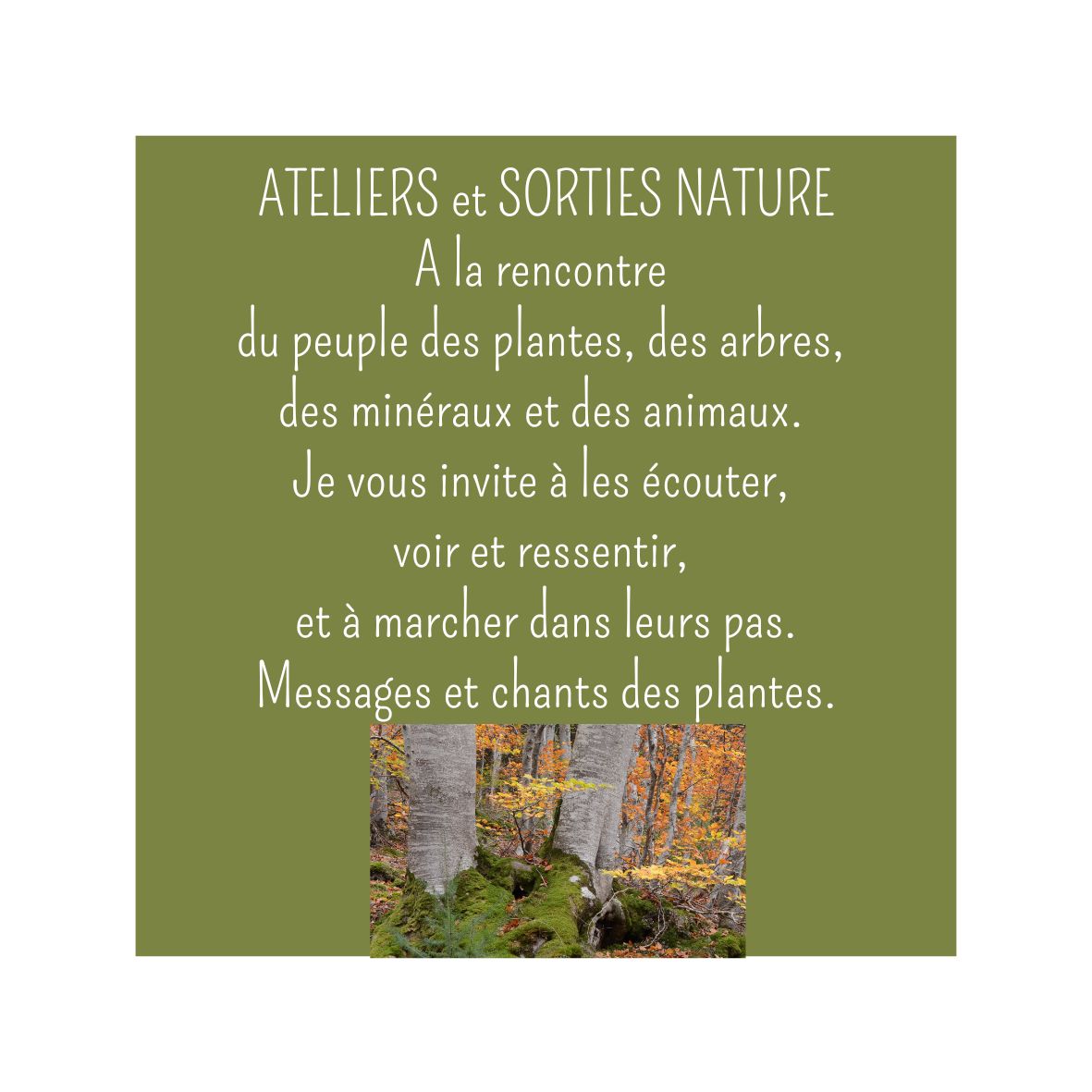 ateliers sorties nature