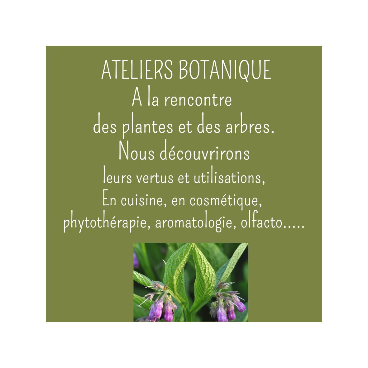 ateliers botanique